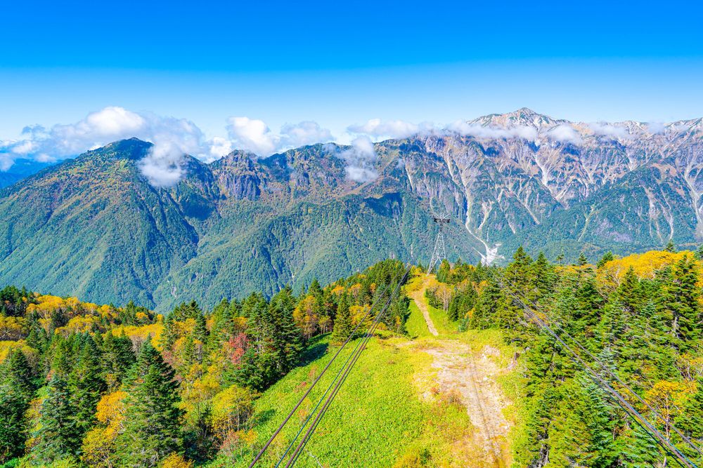 鍋平高原の画像 - 3枚目
