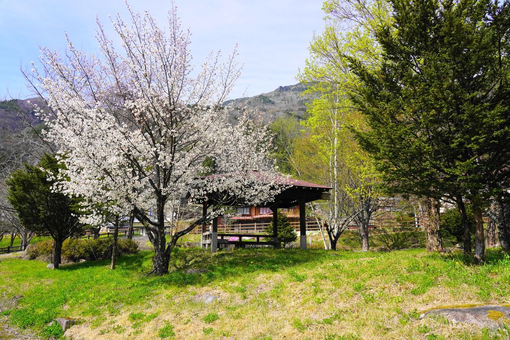 奥飛騨温泉郷栃尾の画像 - 4枚目