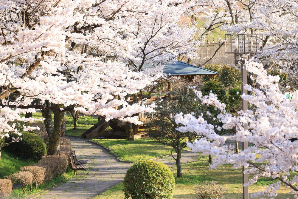 阿木川ダムの画像 - 2枚目