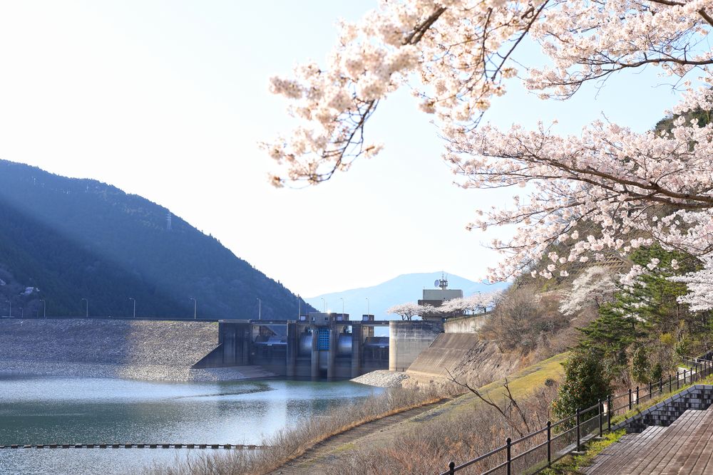 阿木川ダムの画像 - 3枚目