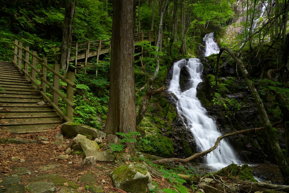おおくら滝遊歩道