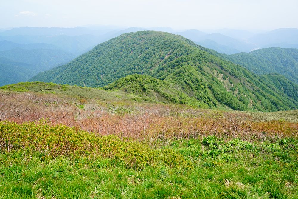 能郷白山の画像 - 2枚目