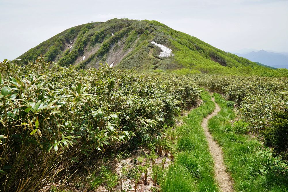 能郷白山