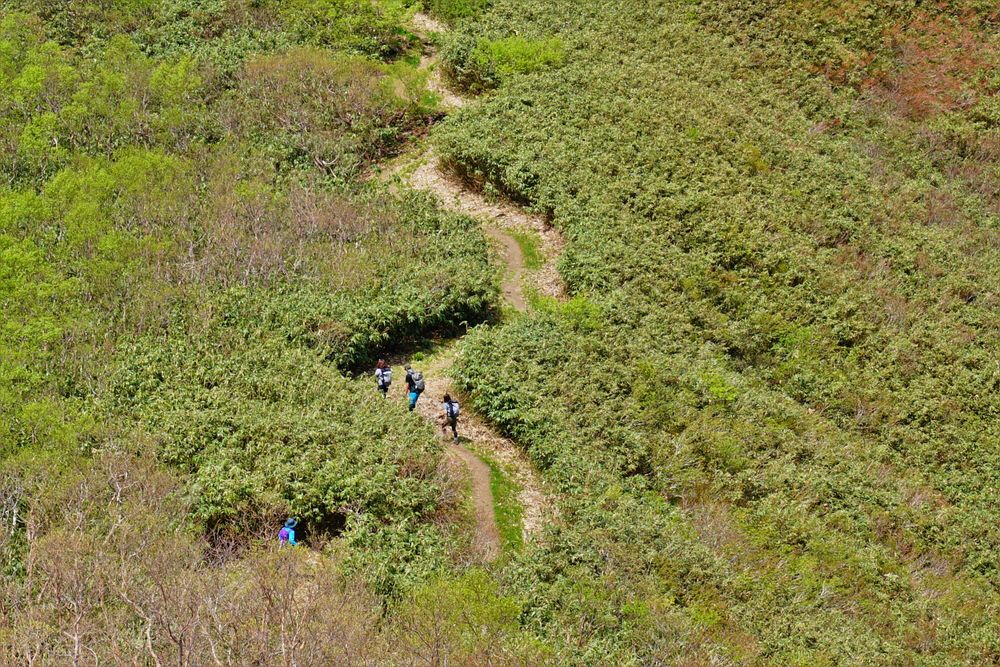 能郷白山の画像 - 3枚目