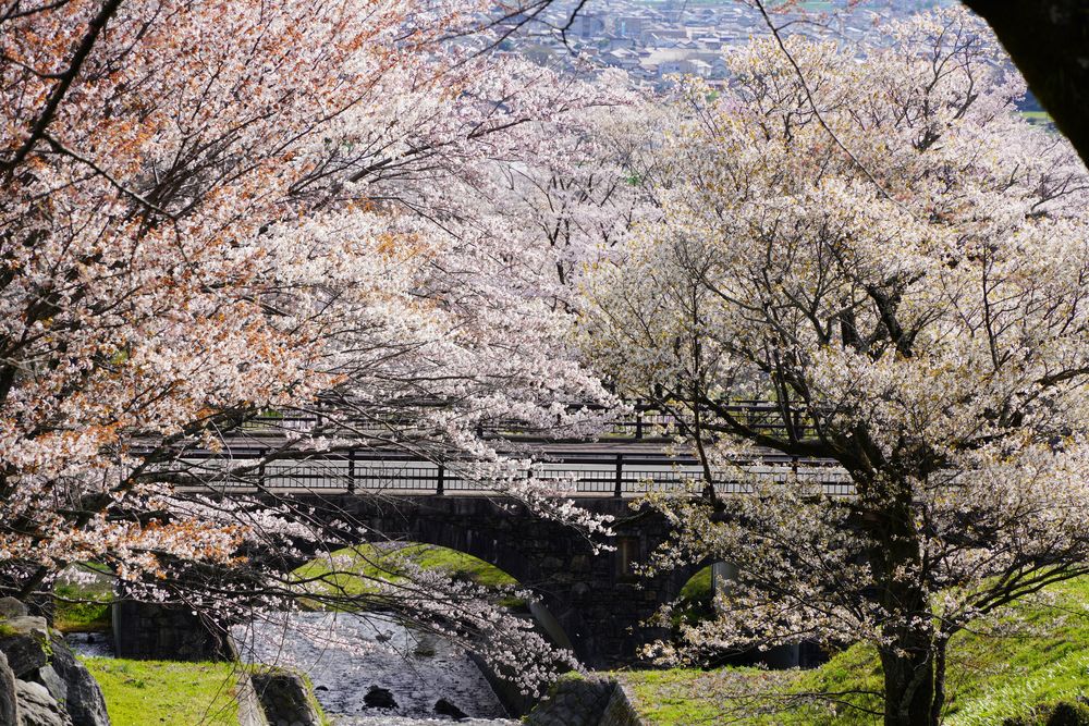 霞間ヶ渓公園の画像 - 2枚目
