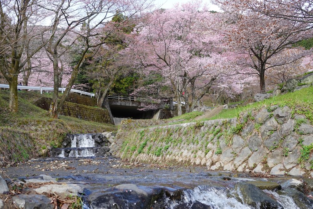 霞間ヶ渓公園の画像 - 3枚目