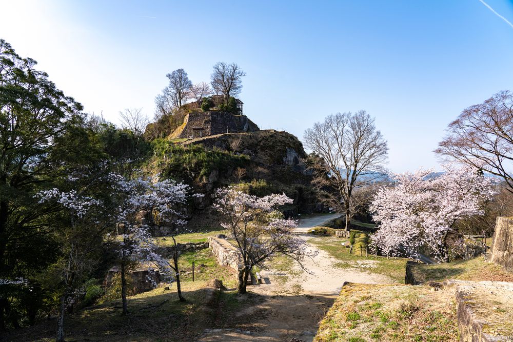 苗木さくら公園
