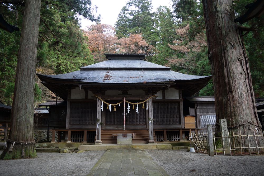 日枝神社の大スギの画像 - 3枚目