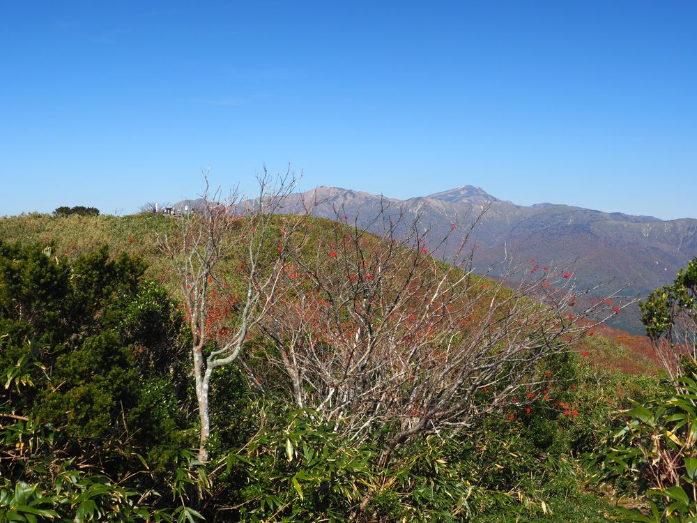 大日ヶ岳の画像 - 3枚目
