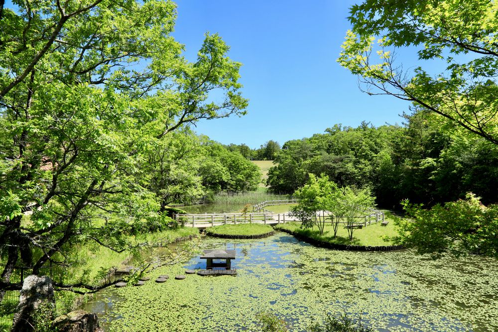 愛・地球博記念公園(モリコロパーク)の画像 - 4枚目