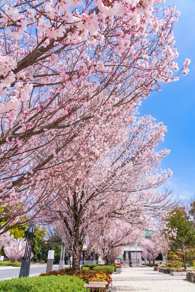 徳川美術館の画像 - 4枚目