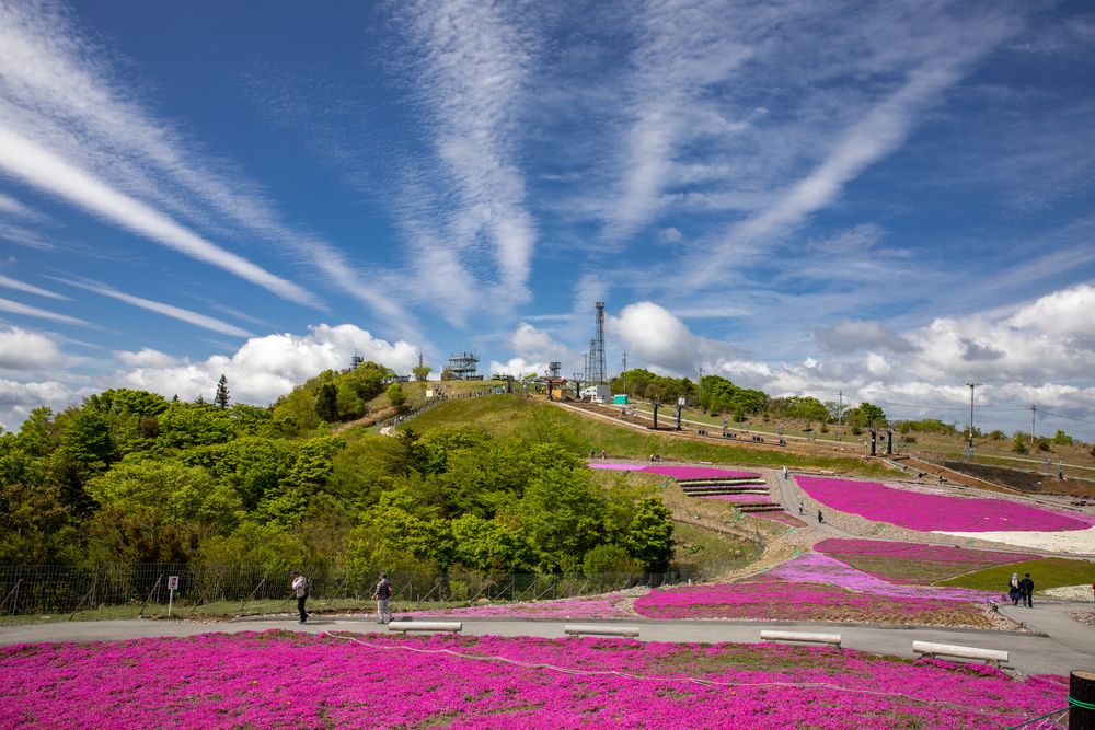 茶臼山高原の画像 - 2枚目