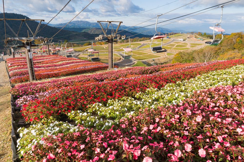 茶臼山高原の画像 - 6枚目