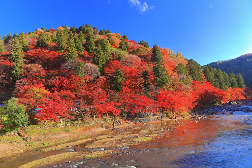 飯盛山の画像 - 2枚目