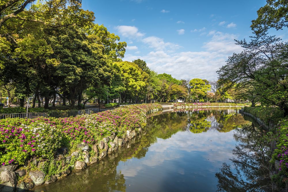 名城公園の画像 - 2枚目