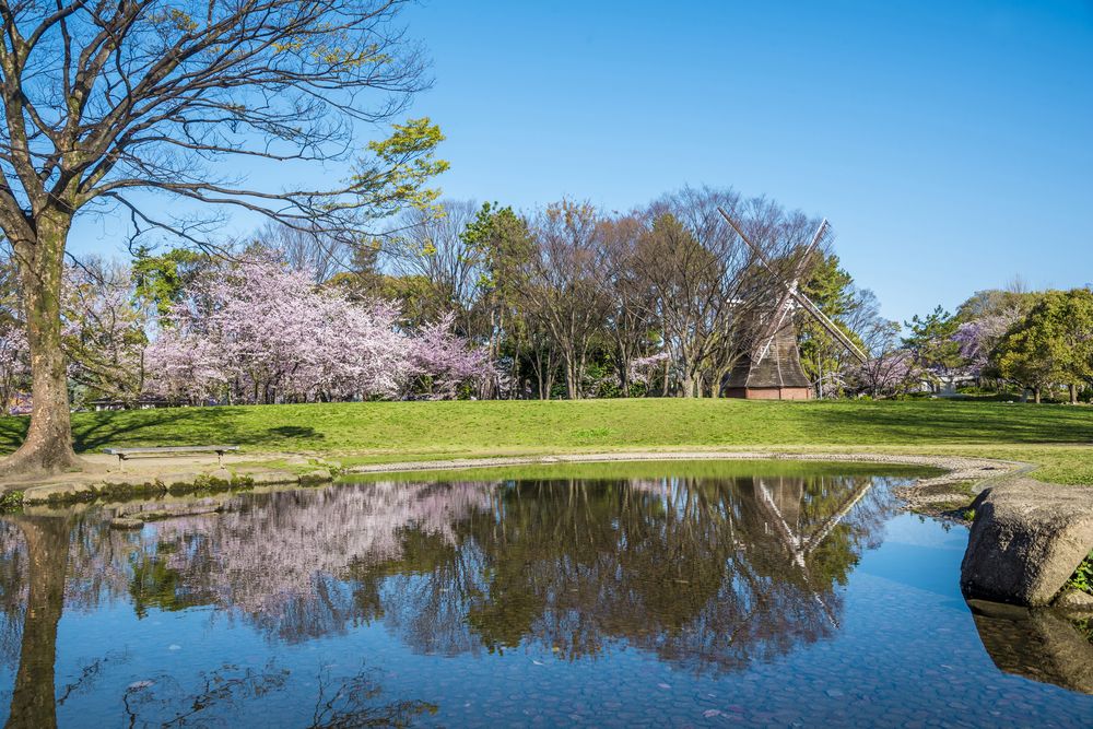 名城公園の画像 - 3枚目