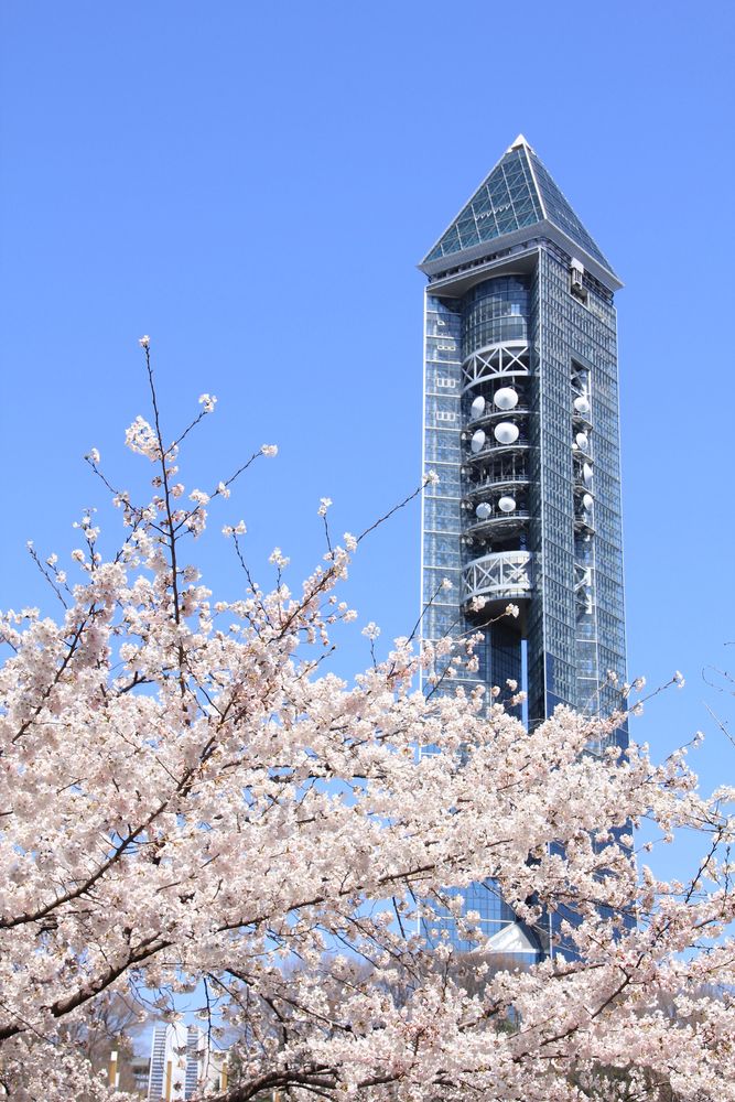 東山スカイタワーの画像 - 3枚目