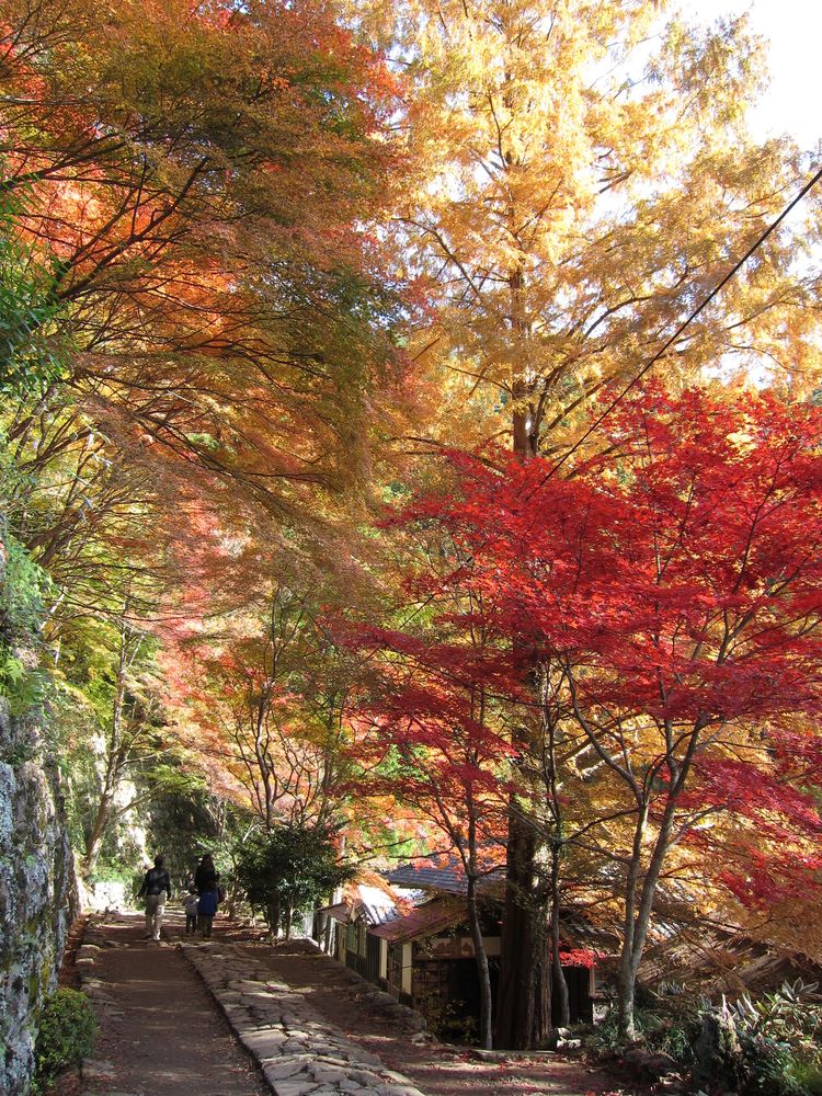鳳来寺山の画像 - 4枚目