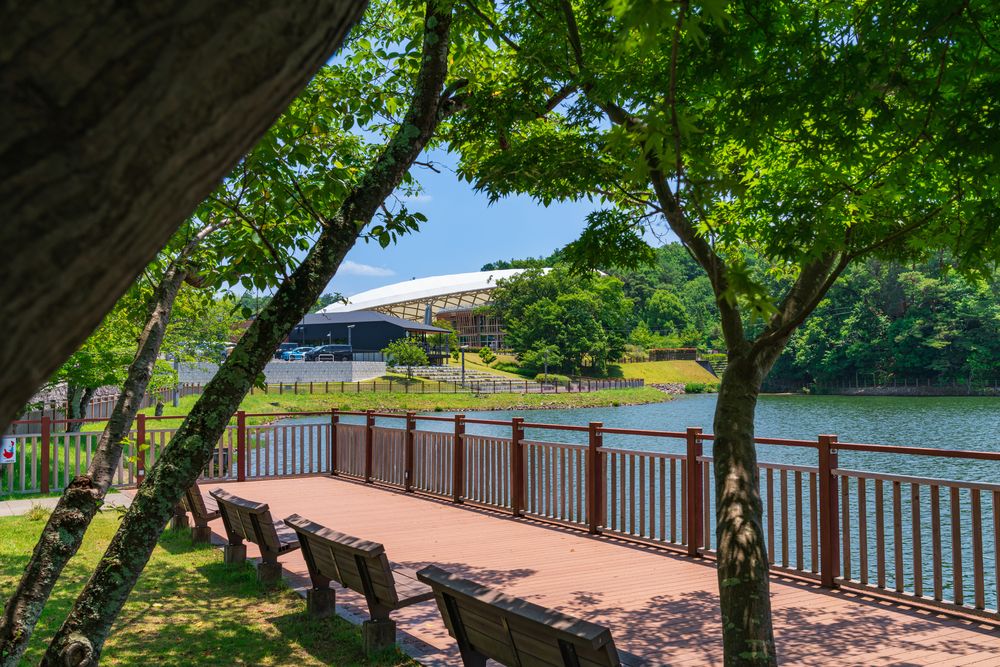 鞍ケ池公園の画像 - 4枚目