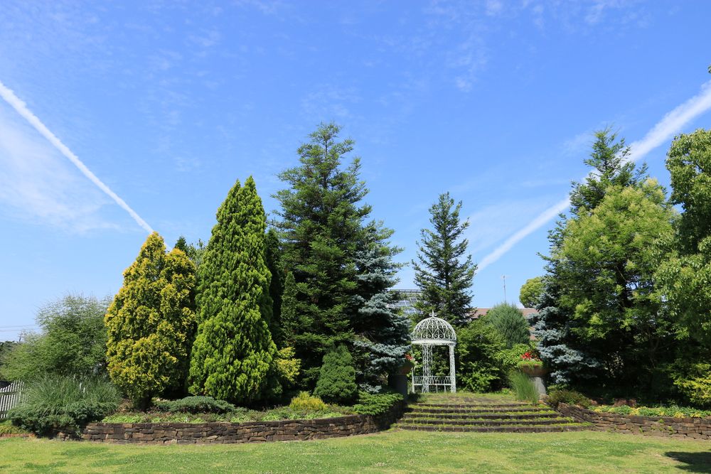 西山公園の画像 - 2枚目