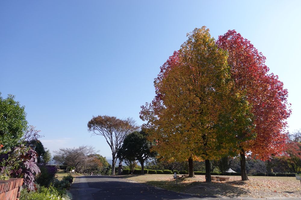 西山公園の画像 - 5枚目