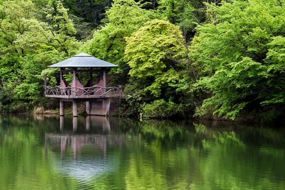 小幡緑地の画像 - 2枚目