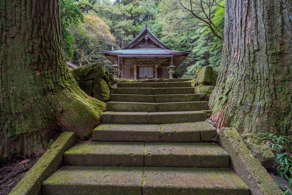 善福寺の画像 - 4枚目