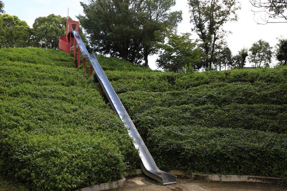 於大公園の画像 - 2枚目