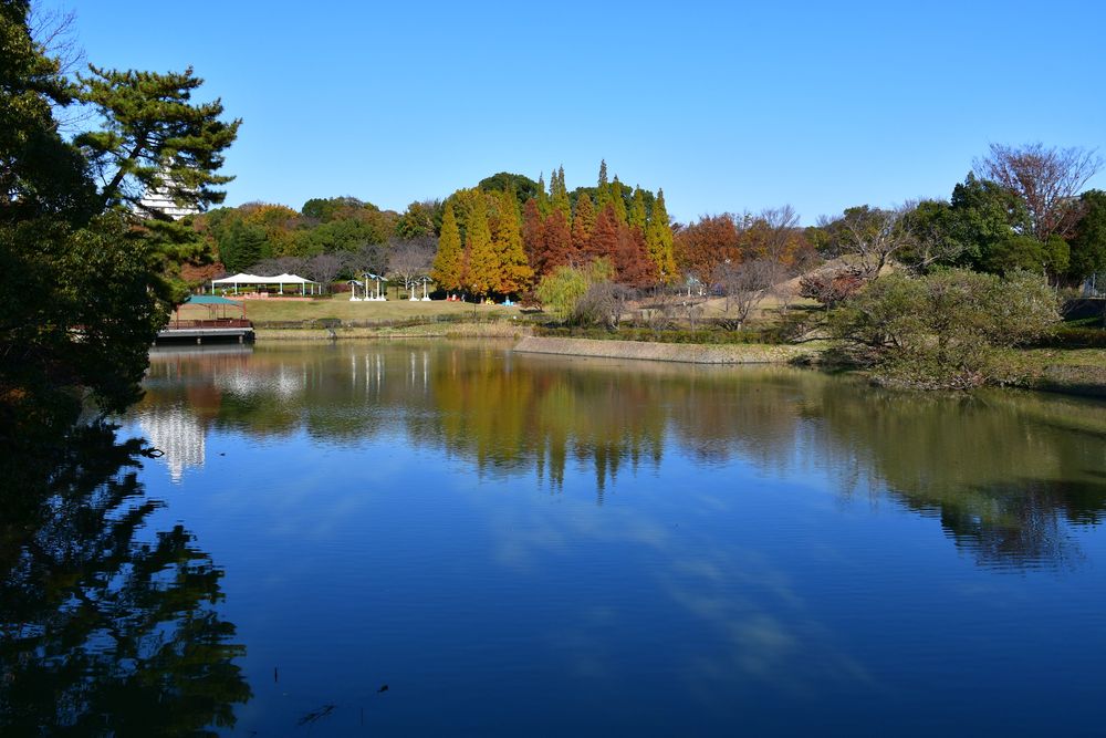 於大公園の画像 - 3枚目