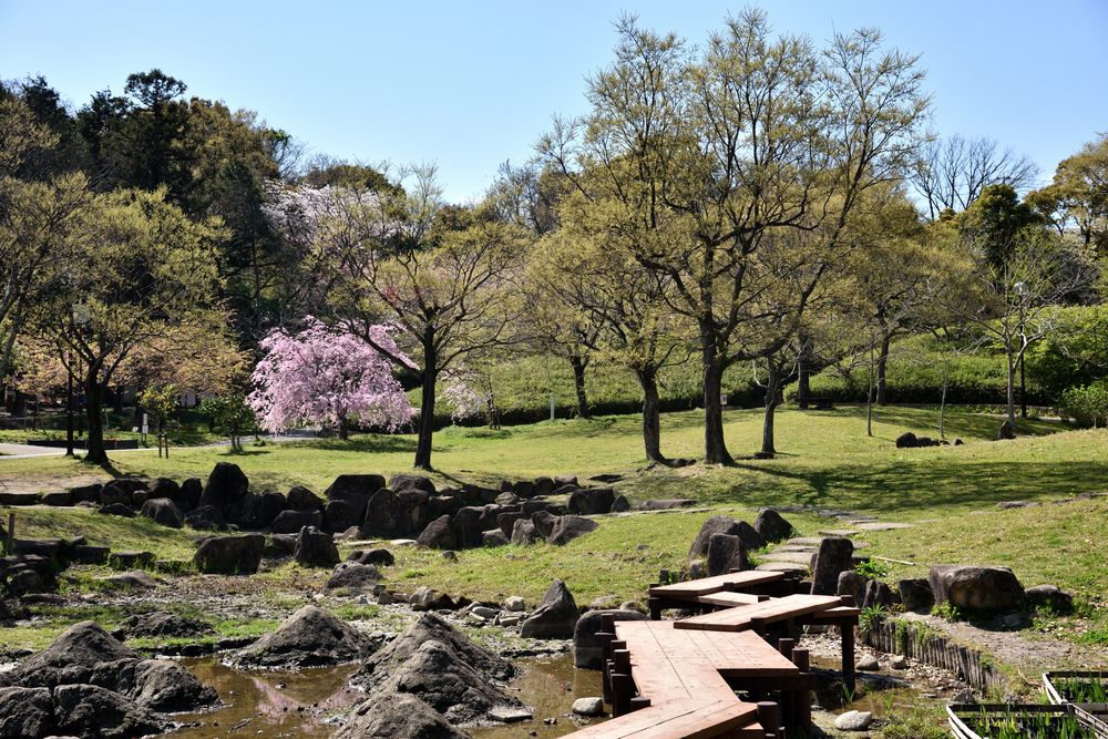 於大公園の画像 - 5枚目