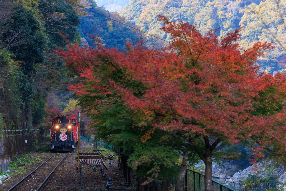 嵯峨野トロッコ列車の画像 - 4枚目