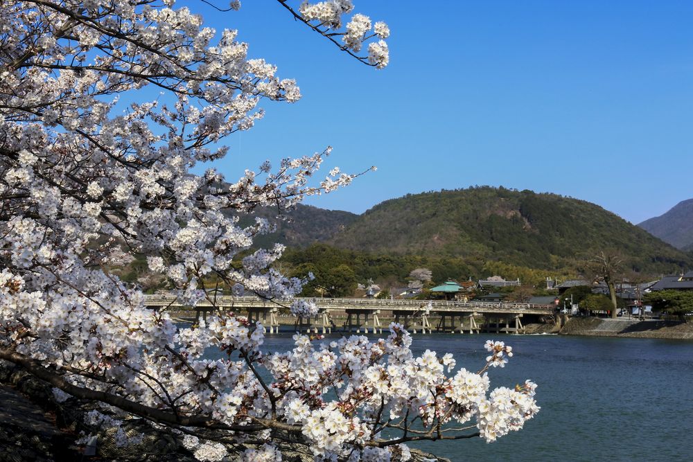 嵐山公園の画像 - 2枚目