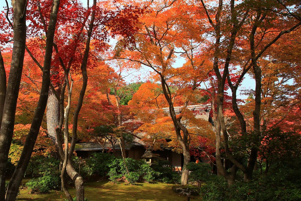 大河内山荘庭園の画像 - 2枚目