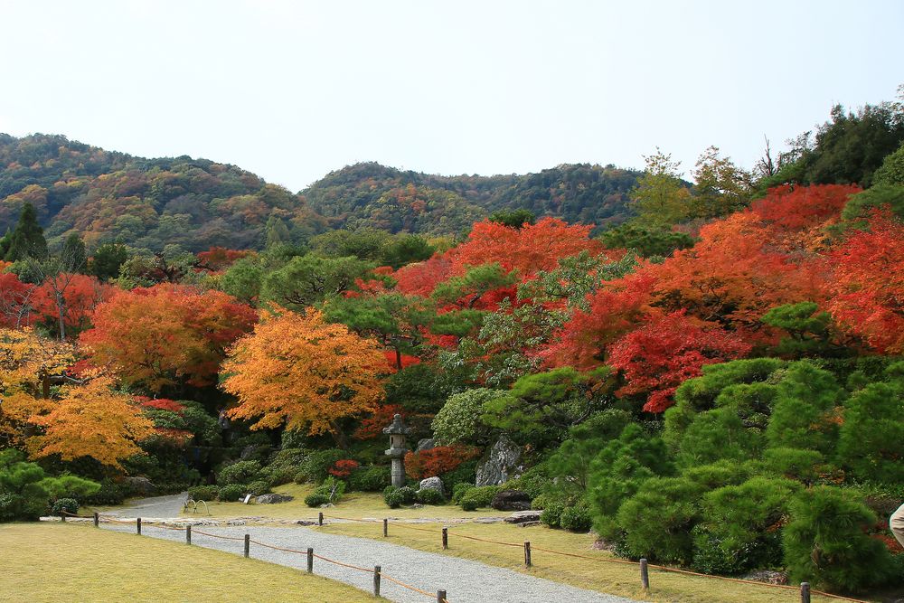 大河内山荘庭園の画像 - 3枚目
