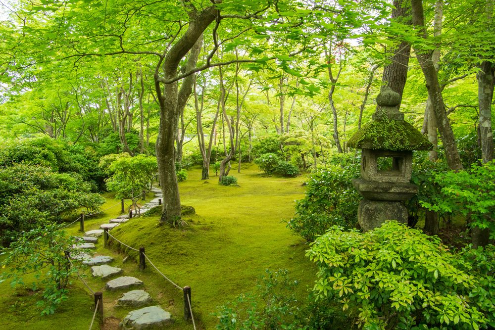 大河内山荘庭園の画像 - 4枚目
