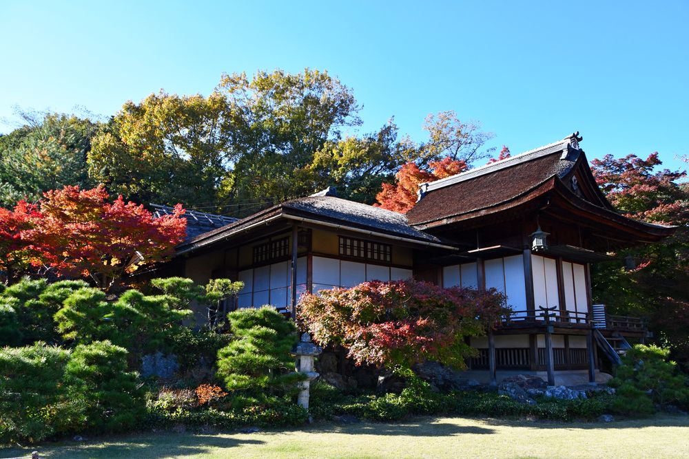 大河内山荘庭園の画像 - 5枚目
