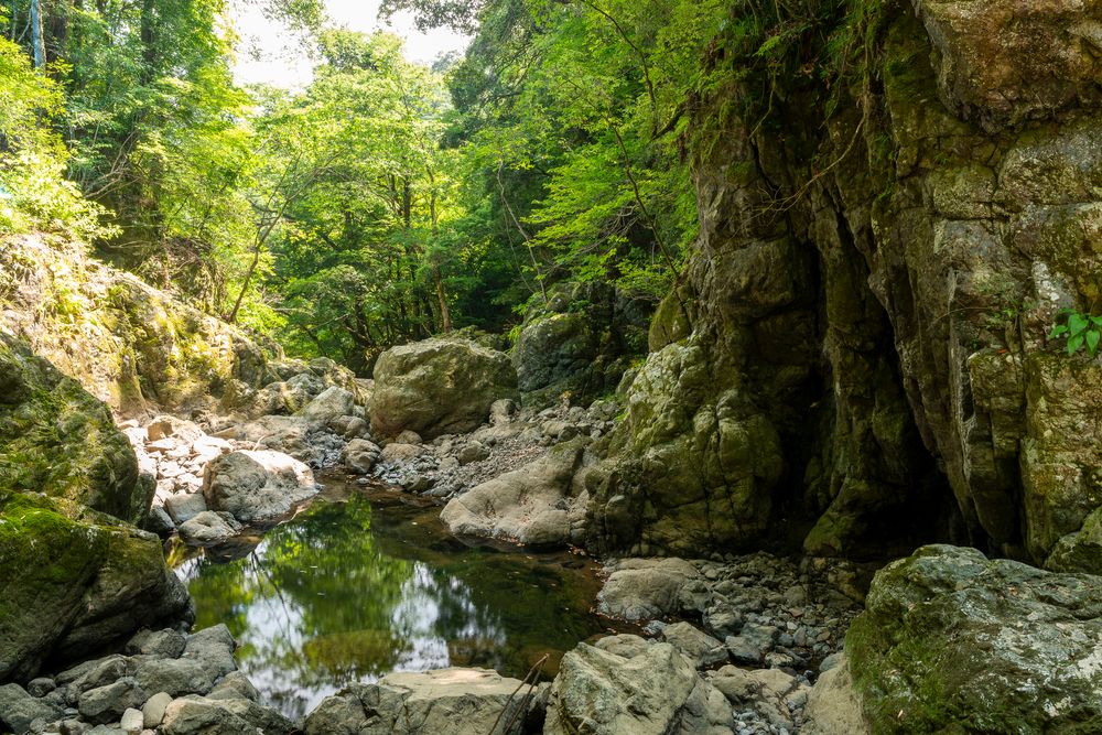 天岩戸神社の画像 - 3枚目
