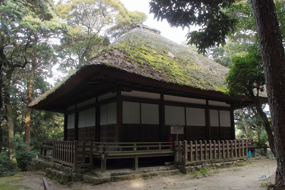 白山神社の画像 - 4枚目