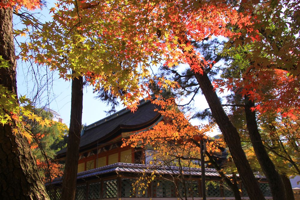 御香宮神社の画像 - 2枚目