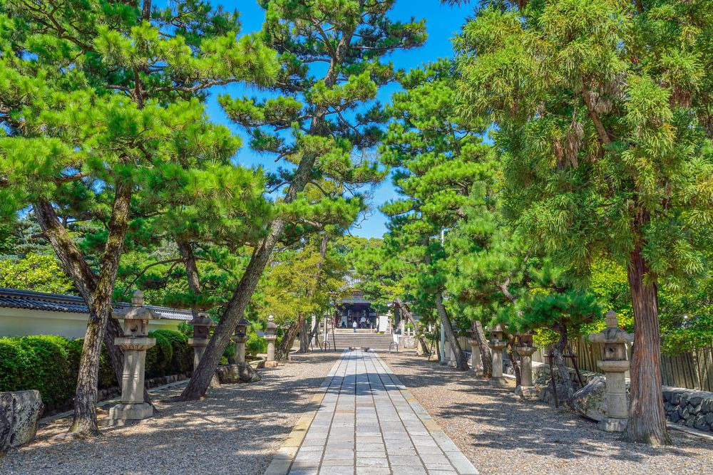 御香宮神社の画像 - 5枚目