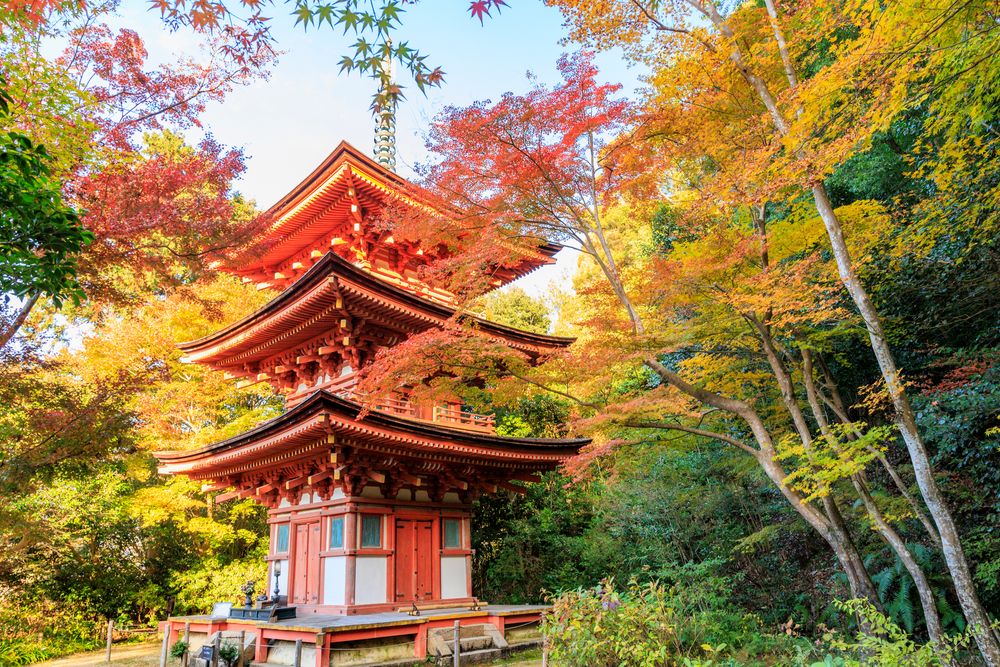 浄瑠璃寺の画像 - 2枚目