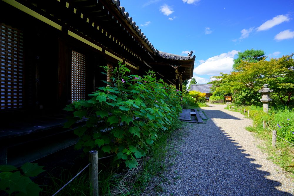 浄瑠璃寺の画像 - 3枚目