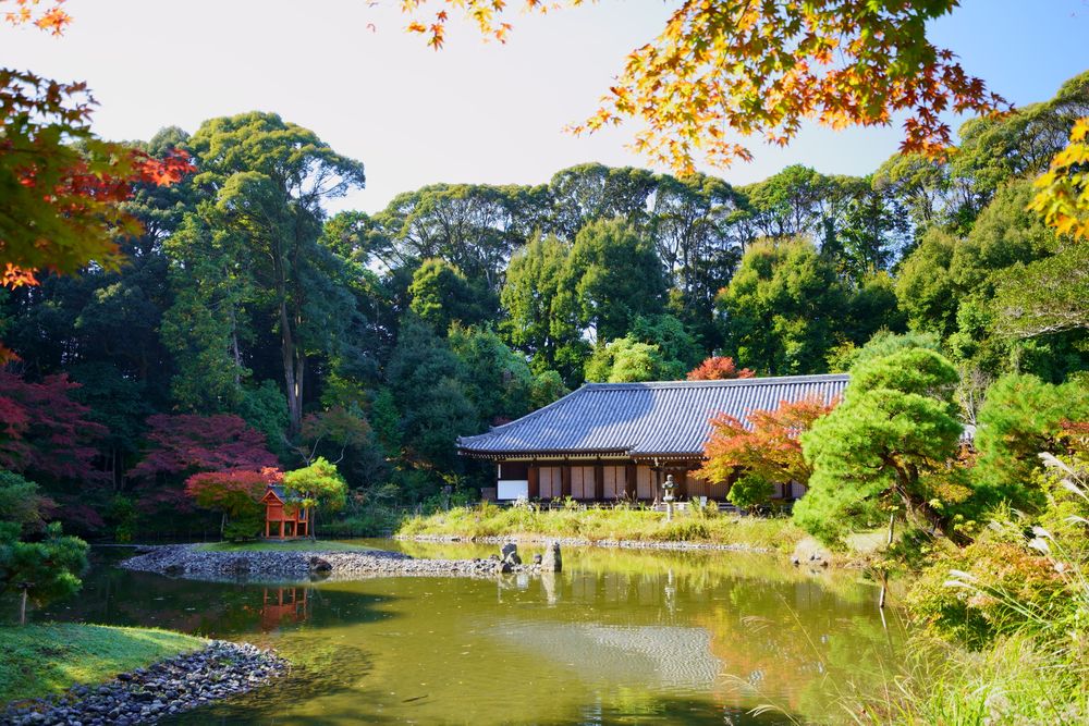 浄瑠璃寺の画像 - 4枚目