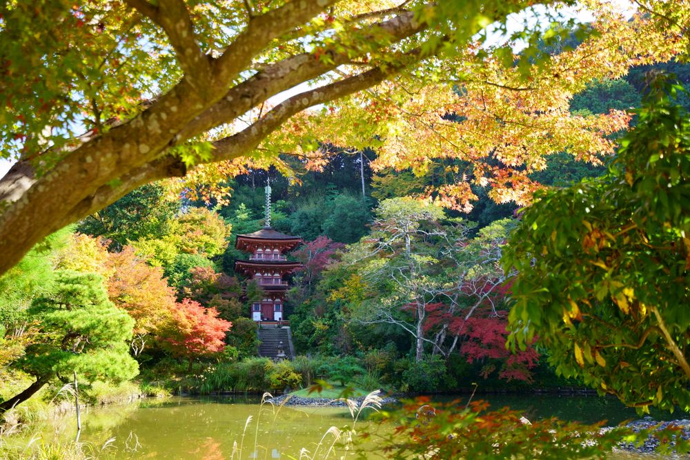 浄瑠璃寺の画像 - 5枚目