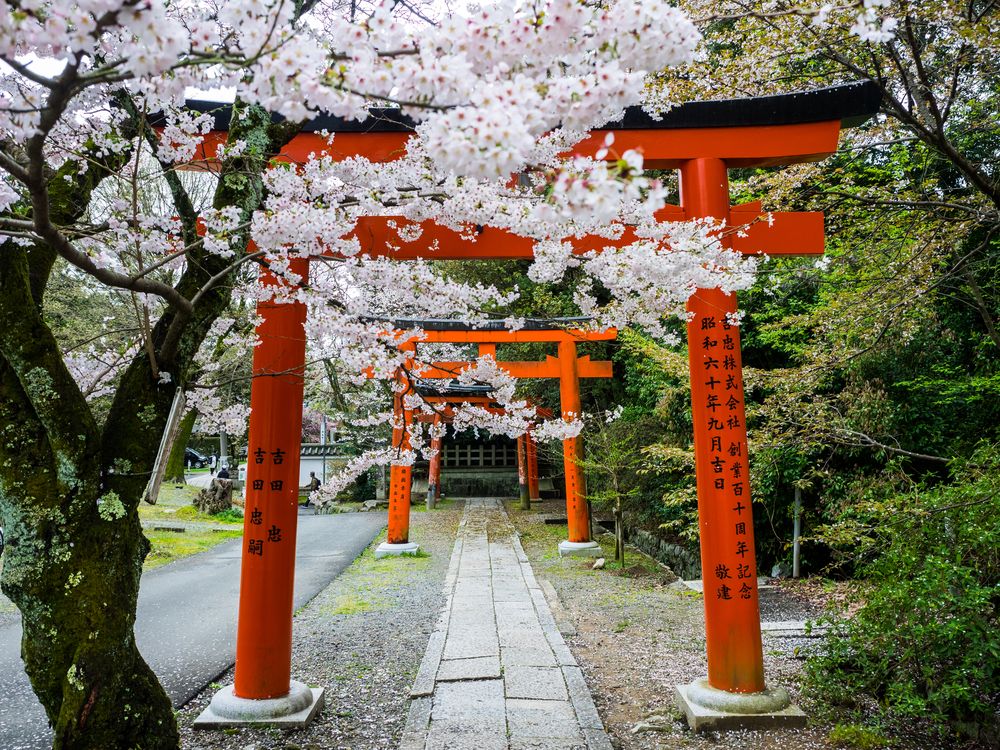 吉田神社の画像 - 2枚目