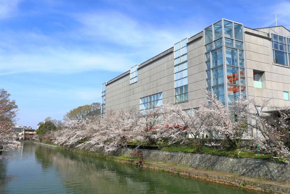 京都国立近代美術館の画像 - 4枚目