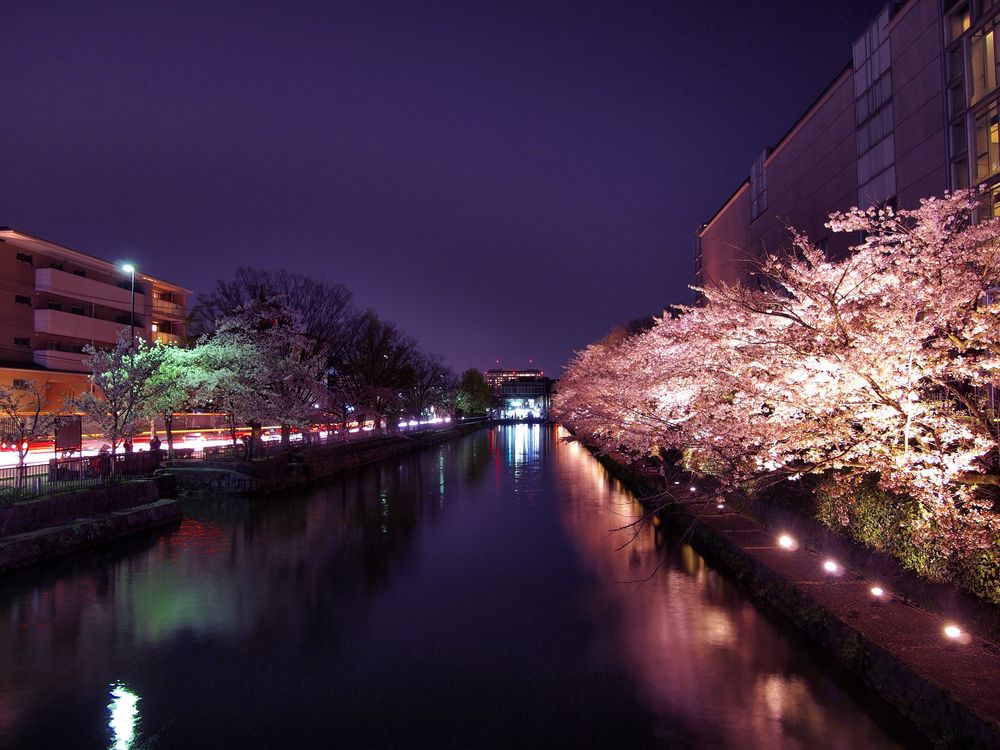 京都国立近代美術館の画像 - 5枚目