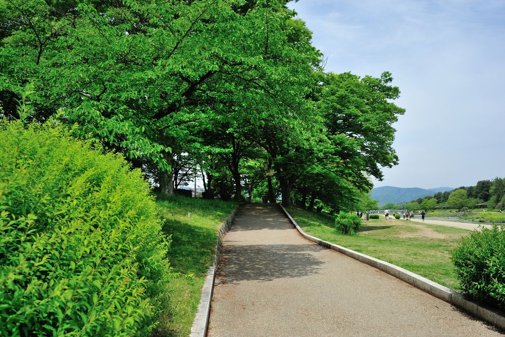 鴨川公園の画像 - 2枚目