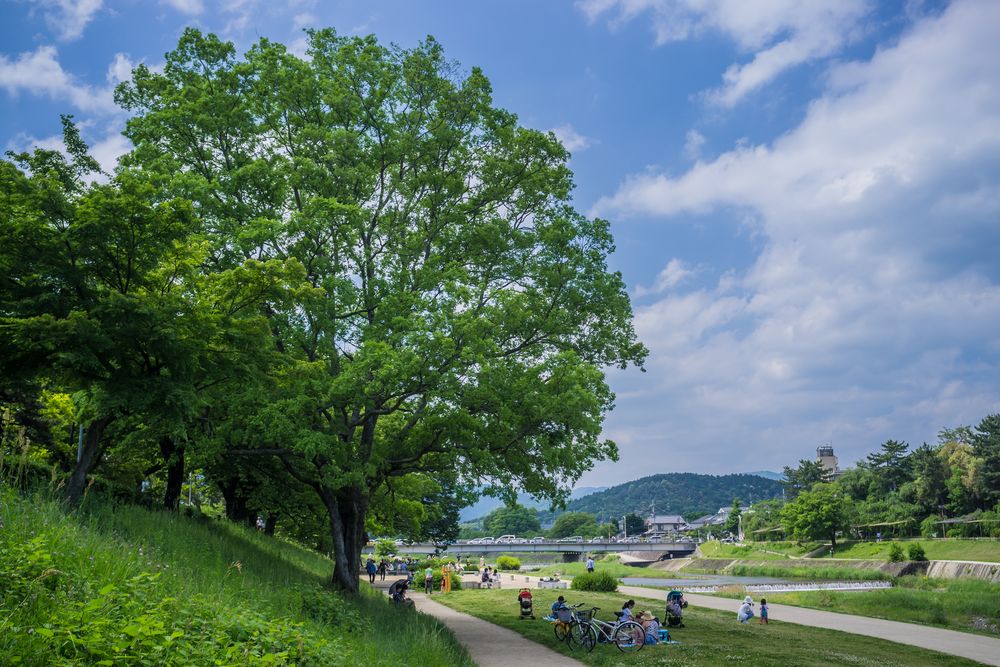 鴨川公園の画像 - 3枚目