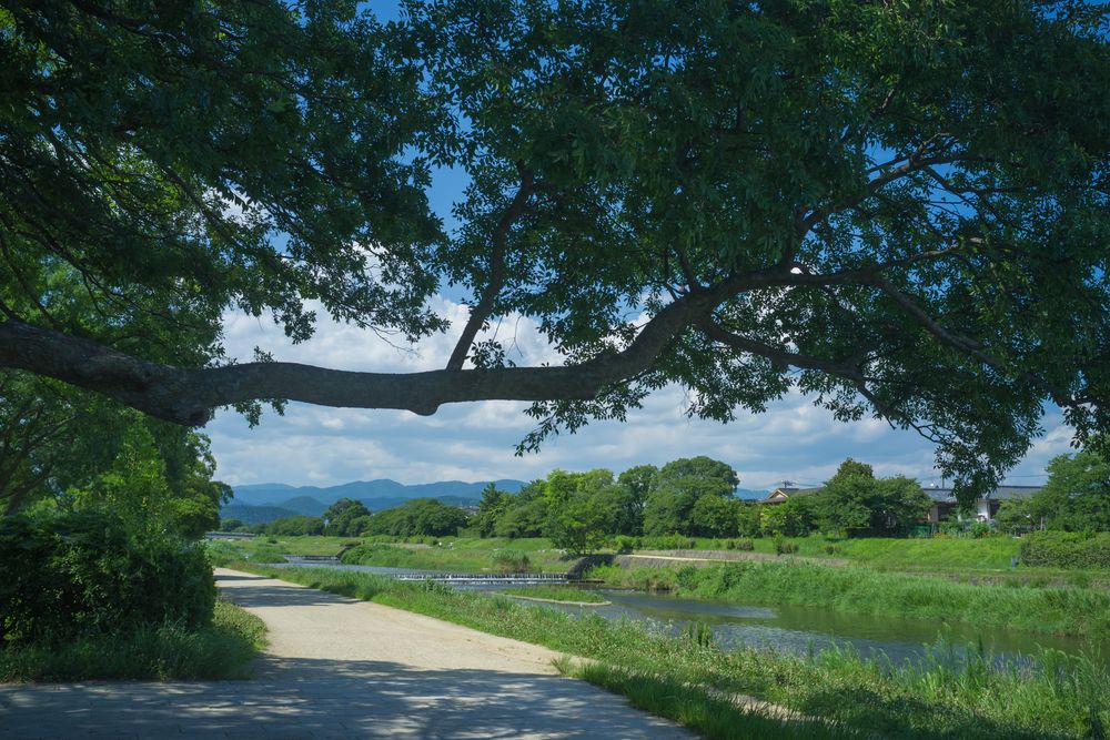 鴨川公園の画像 - 4枚目